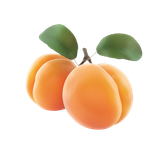 —Pngtree—sweet apricots fruits with leafs 16079950