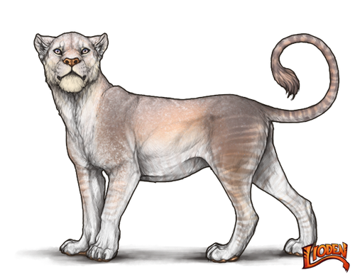 lioden wardrobe (2).png