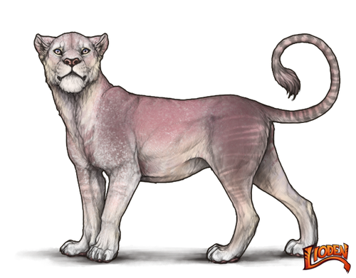 lioden wardrobe (6).png