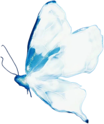 8BC96F6ACCAF12D79C3B85EC271F31D1.png
