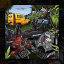 avatar 960638742761189406.png