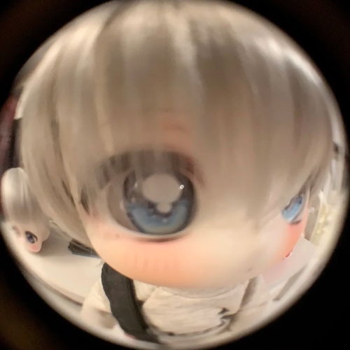 IMG 6451.png