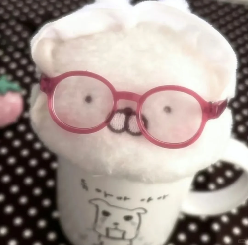 IMG 6443.png