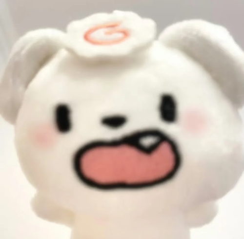 IMG 6442.png
