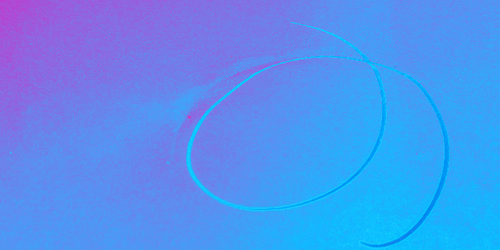temp.png