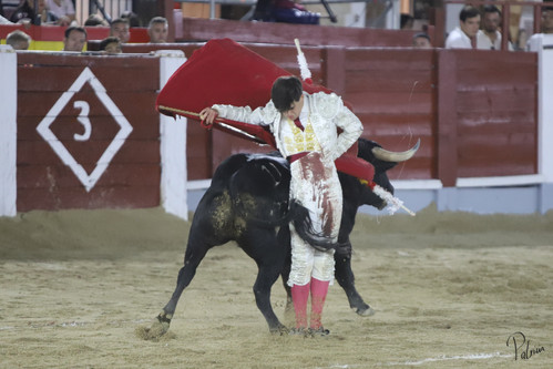 image00029