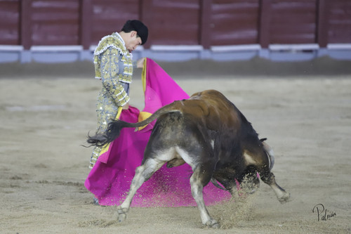 image00050