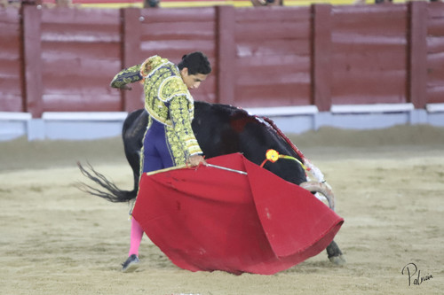 image00080