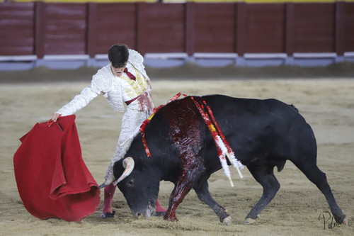 image00126