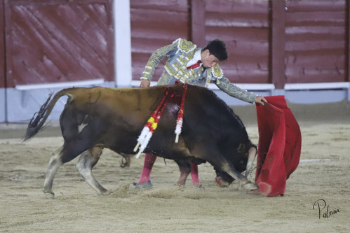 image00187