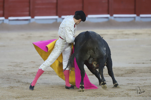 image00213