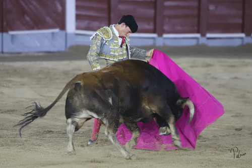 image00106