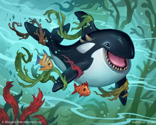 Raelen orca.webp