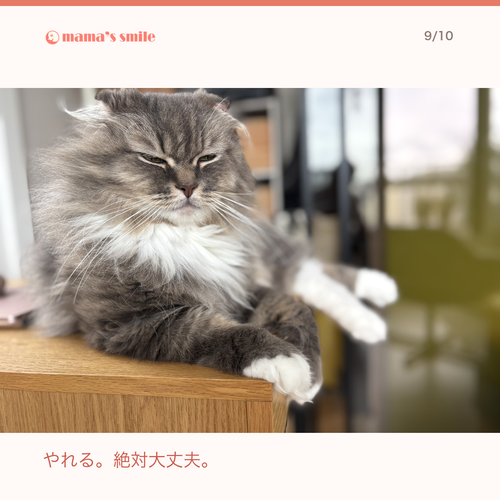 19080dc29f97.png