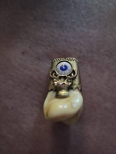 fca56375e3ce.jpg
