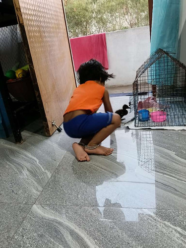 4d79118f43c8.jpg