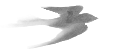 1000202183.png