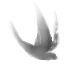 1000202195.png