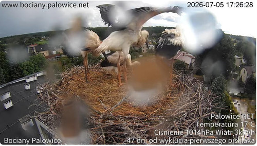 MWSnap810.jpg