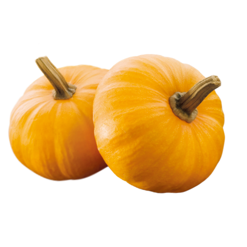 pumpkin pie calabaza gourd winter squash pumpkin 755c94defbf9c46f48f63c85ae16ca42.png