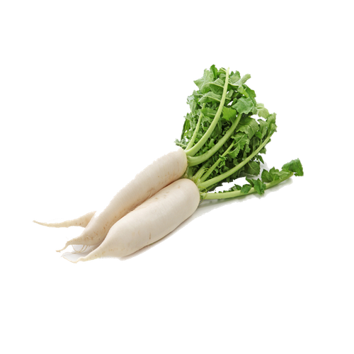 daikon leaf vegetable chinese cabbage radish f57db5bf0082573a68b3bf562ab72ae8.png
