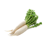 daikon leaf vegetable chinese cabbage radish f57db5bf0082573a68b3bf562ab72ae8