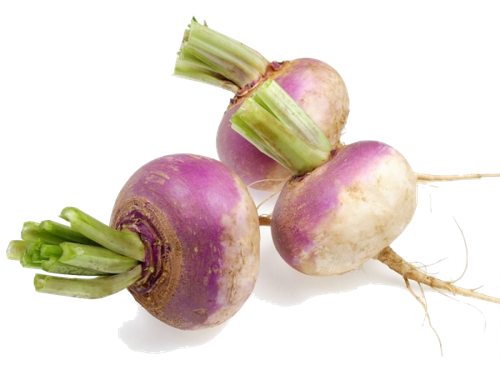 turnip root vegetables rutabaga radish turniphd 734d75e8ec18cb494ff236da9ae3eaa2.png