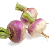 turnip root vegetables rutabaga radish turniphd 734d75e8ec18cb494ff236da9ae3eaa2