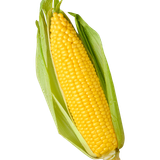 popcorn candy corn sweet corn corn kernel maize corn e23cc58aa221abd2851a552d720ed2d4