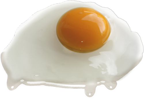 yolk fried egg chicken egg raw eggs image 7447f43a7b8cca24a5b70c561ef9ff94.png