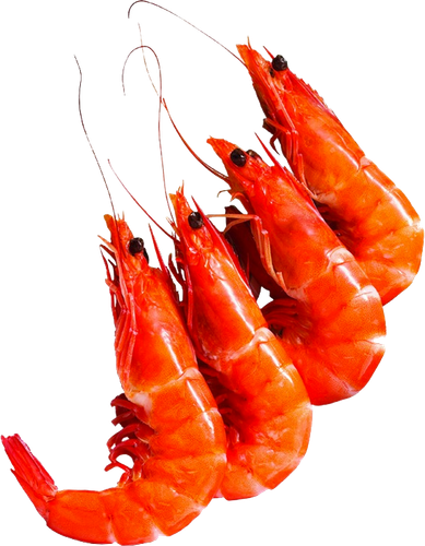 caridean shrimp prawns lobster food lobster c8b79c51cf267e2ddad310dc9f37e436.png