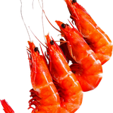 caridean shrimp prawns lobster food lobster c8b79c51cf267e2ddad310dc9f37e436