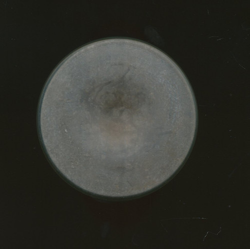 50065b.jpg