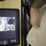 ezgif 1b97beeff9c98b46.gif