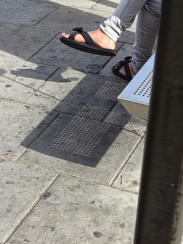 422236.jpg