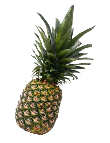 Pineapple tropical and refreshing fruit transparent png.png