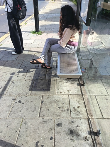 422233.jpg