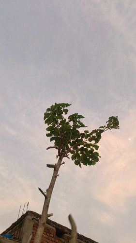 9eff7337c1d8.jpg