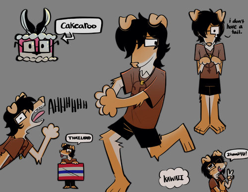 IMG 9254.png