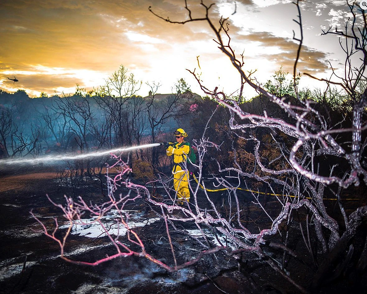 a Firefighter stands spraying a hose in a burned forest