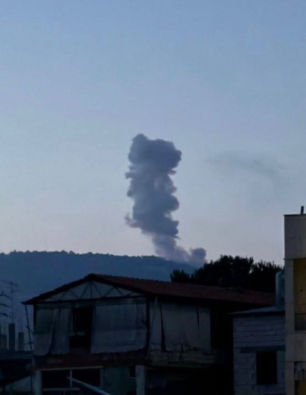 صورة الخبر