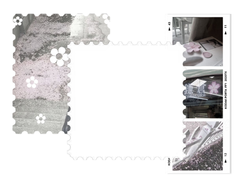 export202607050744559795.png