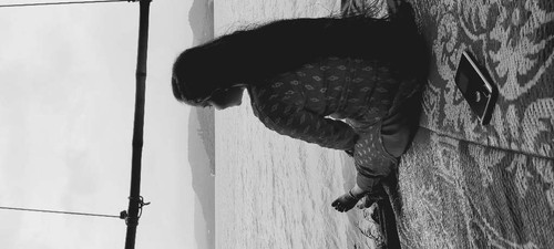 86a7e2af1114.jpg