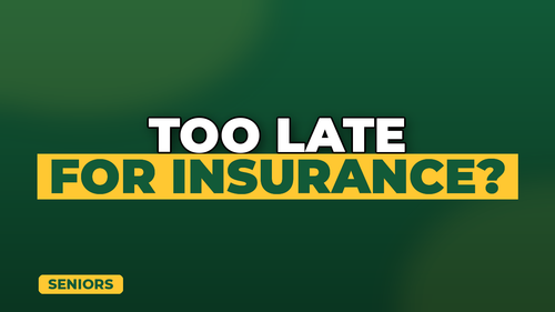 thumb pet insurance for senior pets landscape.png
