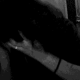 13d0f6865e72.gif