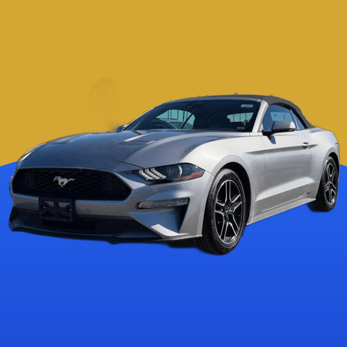 carzrus 1FATP8UH7P5105614.png