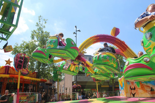 70476.jpg