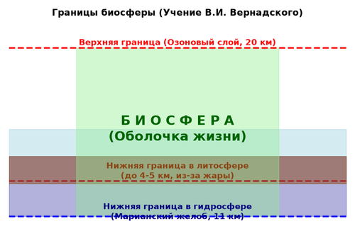 37e8043b9b43.png
