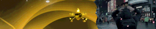 13.gif