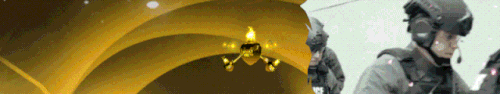 5.gif